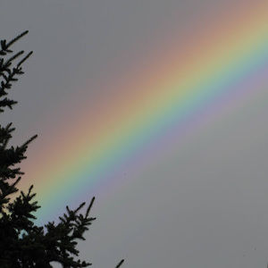 Meet your Posher, Adelle